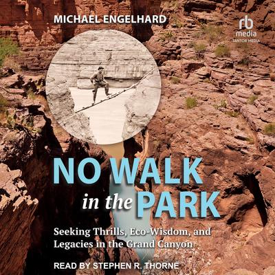 No Walk in the Park by Michael Engelhard audiobook