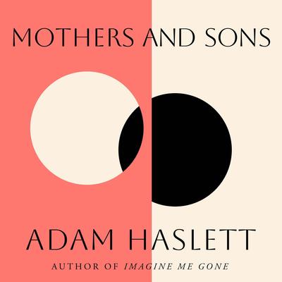 Mothers and Sons by Adam Haslett audiobook