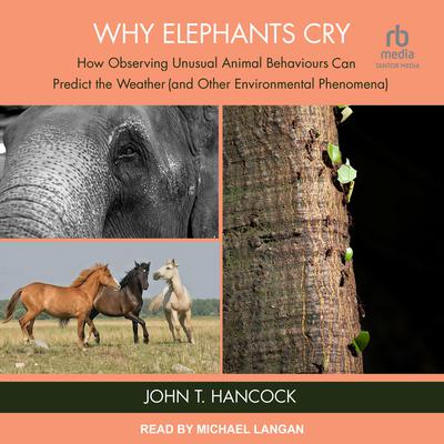 Why Elephants Cry by John T. Hancock audiobook