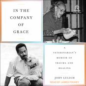 In the Company of Grace by  Jody Lulich audiobook