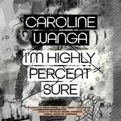 I'm Highly Percent Sure by  Caroline A. Wanga audiobook