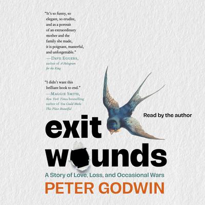 Exit Wounds by Peter Godwin audiobook