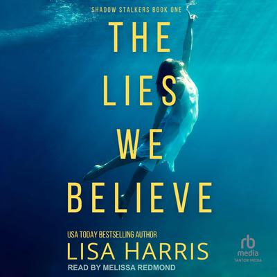 The Lies We Believe by Lisa Harris audiobook