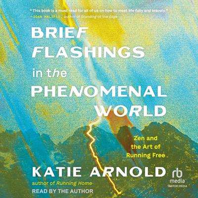 Brief Flashings in the Phenomenal World by Katie Arnold audiobook