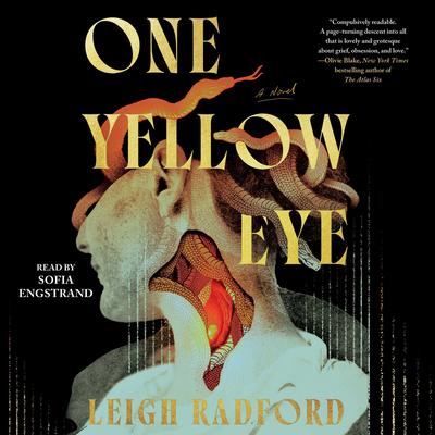 One Yellow Eye by Leigh Radford audiobook