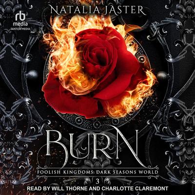 Burn by Natalia Jaster audiobook