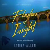 Flashes of Insight by  Lynda Allen audiobook