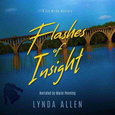 Flashes of Insight by Lynda Allen audiobook