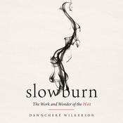 Slow Burn by  DawnCheré Wilkerson audiobook