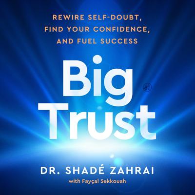 Big Trust by Shadé Zahrai audiobook
