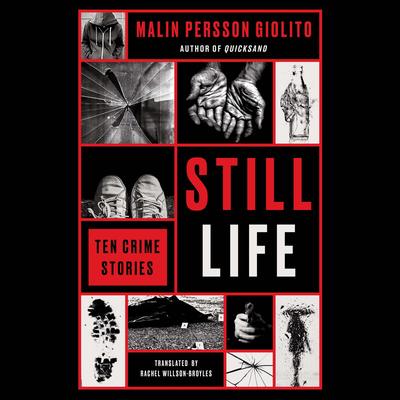 Still Life by Malin Persson Giolito audiobook