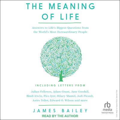 The Meaning of Life by James Bailey audiobook