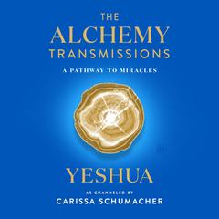 The Alchemy Transmissions by Carissa Schumacher audiobook