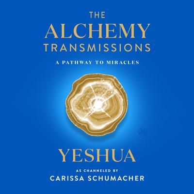 The Alchemy Transmissions by Carissa Schumacher audiobook