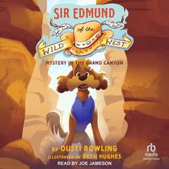 Mystery in the Grand Canyon by Dusti Bowling audiobook