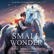 Small Wonder by  Ross Montgomery audiobook