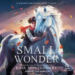Small Wonder by Ross Montgomery audiobook