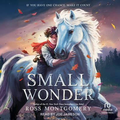 Small Wonder by Ross Montgomery audiobook