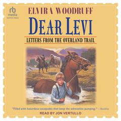 Dear Levi by Elvira Woodruff audiobook