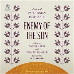 Enemy of the Sun by Naseer Aruri audiobook