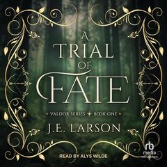 A Trial of Fate by J.E. Larson audiobook
