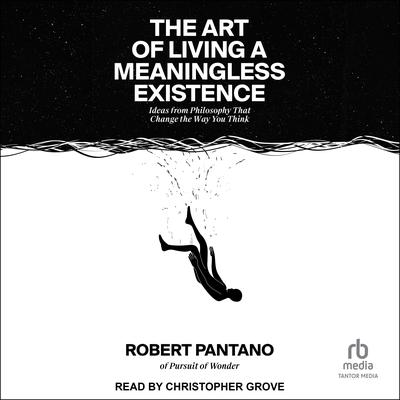 The Art of Living a Meaningless Existence by Robert Pantano audiobook