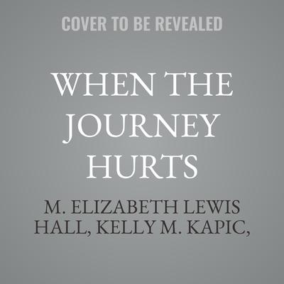 When the Journey Hurts by M. Elizabeth Lewis Hall audiobook