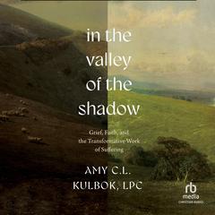 In the Valley of the Shadow by Amy C.L. Kulbok, LPC audiobook