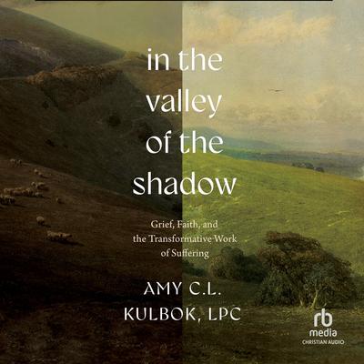 In the Valley of the Shadow by Amy C.L. Kulbok, LPC audiobook