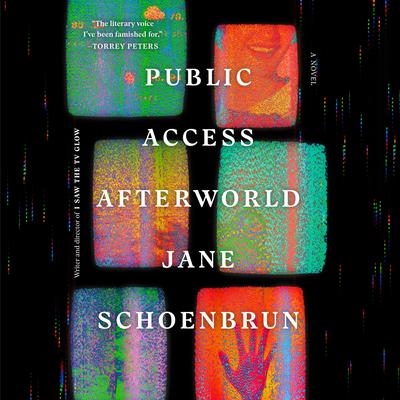 Public Access Afterworld by Jane Schoenbrun audiobook