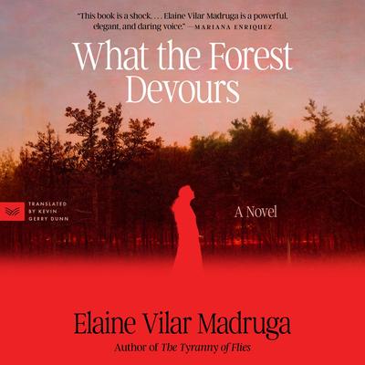 What the Forest Devours by Elaine Vilar Madruga audiobook