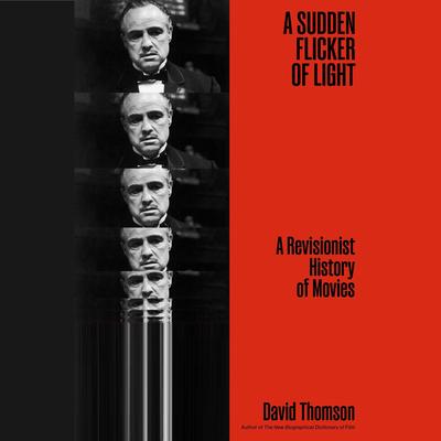 A Sudden Flicker of Light by David Thomson audiobook