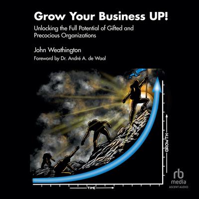 Grow Your Business UP! by John Weathington audiobook