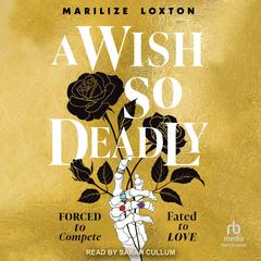 A Wish So Deadly by Marilize Loxton audiobook