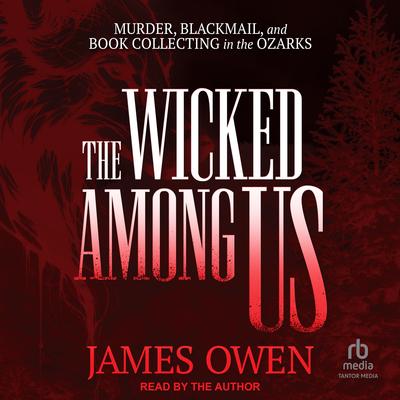 The Wicked Among Us by James Owen audiobook