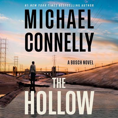 The Hollow by Michael Connelly audiobook