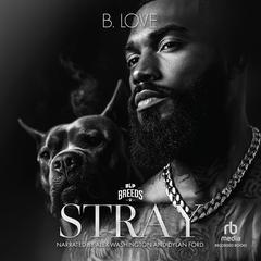 Stray by B. Love audiobook