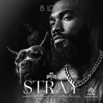 Stray by B. Love audiobook
