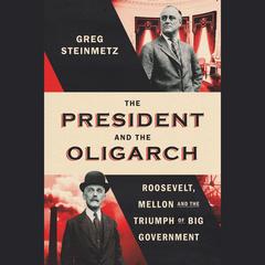 The President and the Oligarch by Greg Steinmetz audiobook