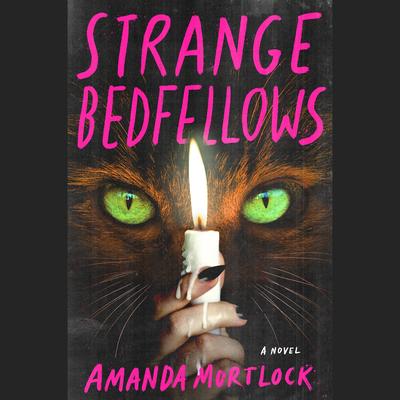 Strange Bedfellows by Amanda Mortlock audiobook
