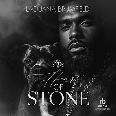 Heart of Stone by Laquana Brumfield audiobook