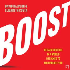 Boost by David Halpern audiobook