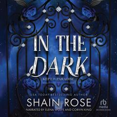 In the Dark by Shain Rose audiobook