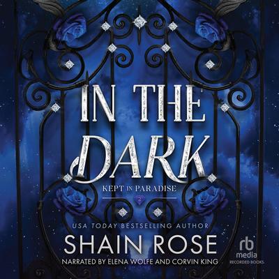 In the Dark by Shain Rose audiobook