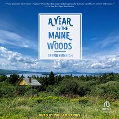 A Year In The Maine Woods by Bernd Heinrich audiobook
