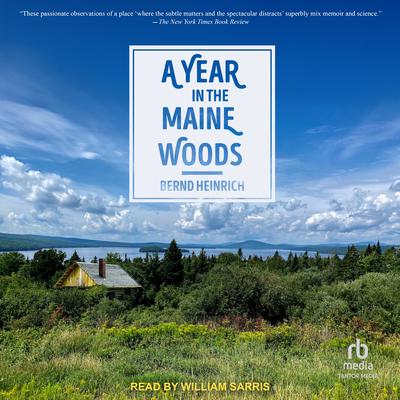A Year In The Maine Woods by Bernd Heinrich audiobook