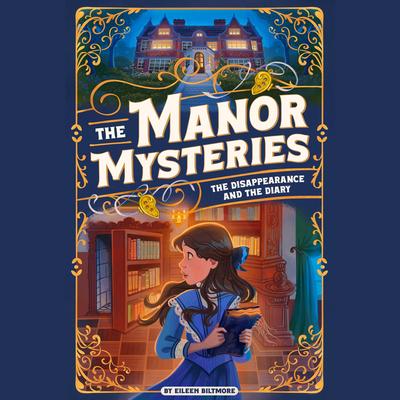 The Disappearance and the Diary by Eileen Biltmore audiobook