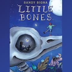 Little Bones by Sandy Bigna audiobook