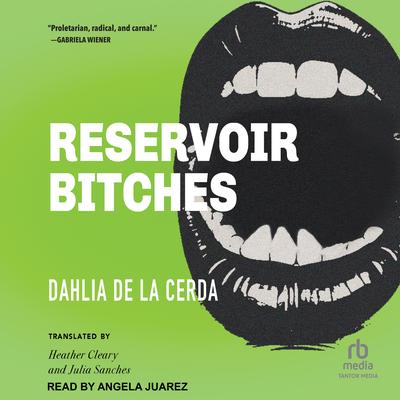 Reservoir Bitches by Dahlia de la Cerda audiobook