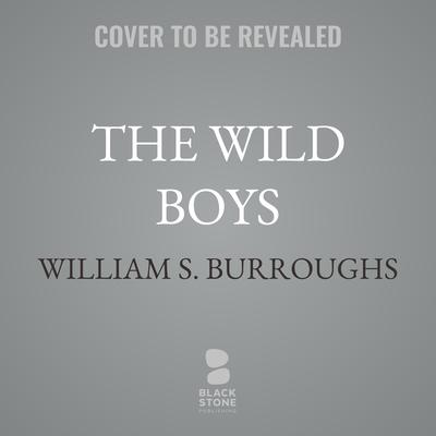 The Wild Boys by William S. Burroughs audiobook